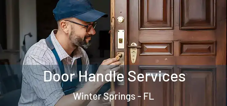 Door Handle Services Winter Springs - FL
