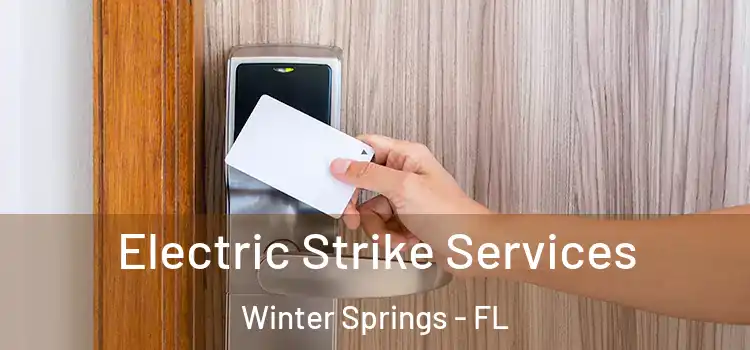 Electric Strike Services Winter Springs - FL