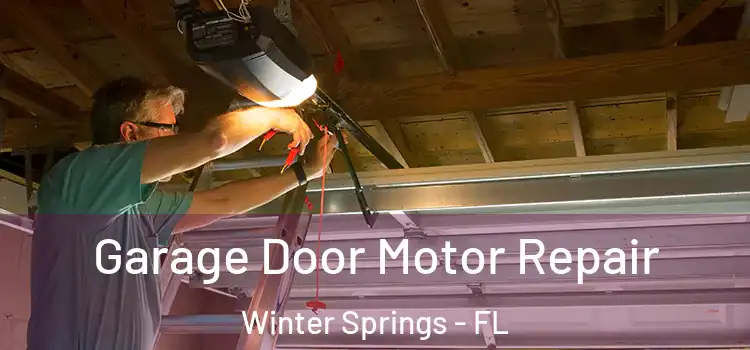 Garage Door Motor Repair Winter Springs - FL