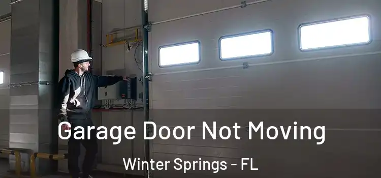  Garage Door Not Moving Winter Springs - FL