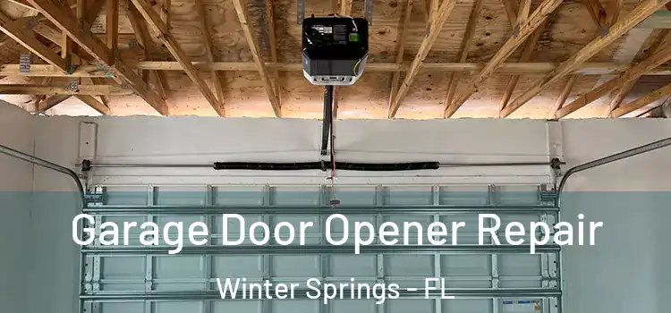  Garage Door Opener Repair Winter Springs - FL