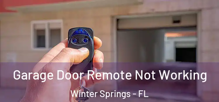  Garage Door Remote Not Working Winter Springs - FL