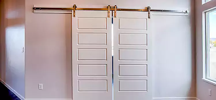 Glass Barn Door with Installation Hardware Kit Winter Springs