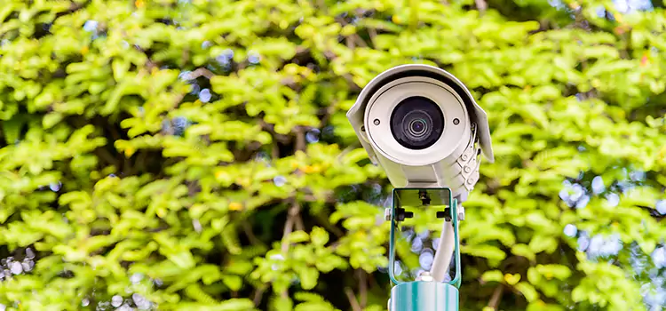 Advanced Surveillance Solutions for Every Need in Winter Springs