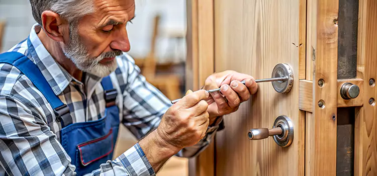 Mortise Replacement Lock Winter Springs