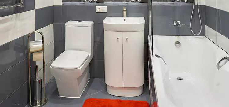 Hansgrohe Shaving Mirror Winter Springs
