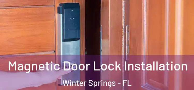  Magnetic Door Lock Installation Winter Springs - FL