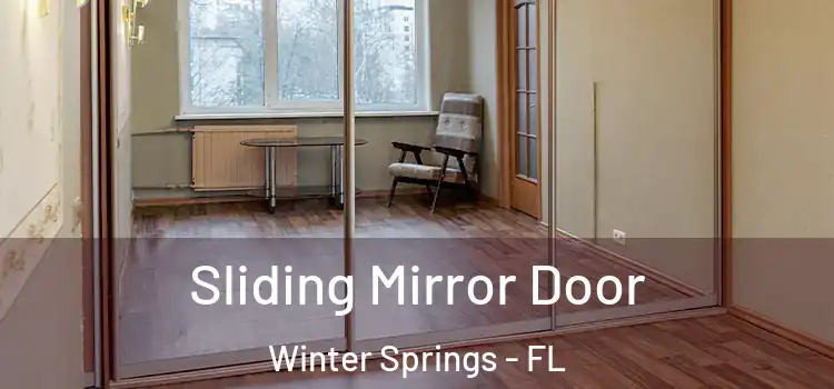  Sliding Mirror Door Winter Springs - FL
