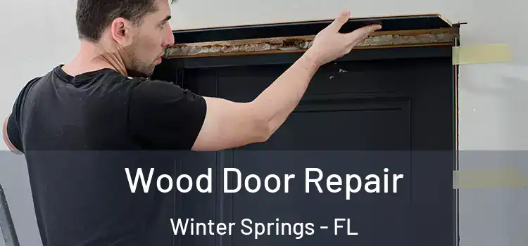Wood Door Repair Winter Springs - FL