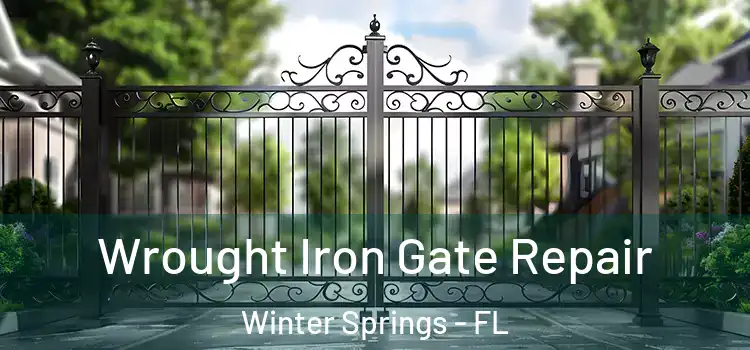 Wrought Iron Gate Repair Winter Springs - FL